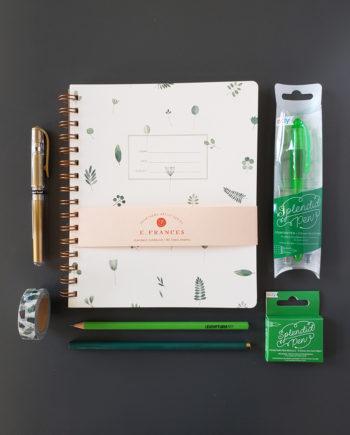 Fun Pack | Green and Gold Notebook Pack